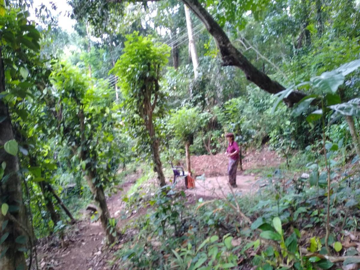 The Pepper Cottage Gomagoda Luaran gambar