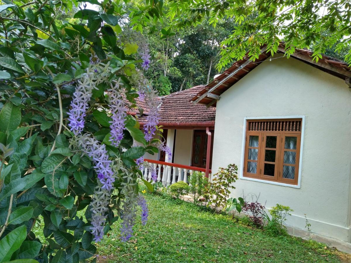 The Pepper Cottage Gomagoda Luaran gambar
