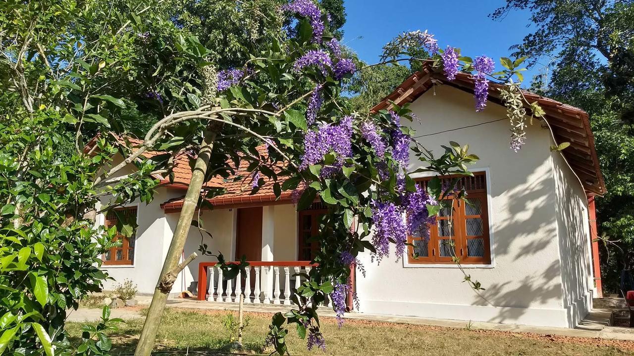 The Pepper Cottage Gomagoda Luaran gambar