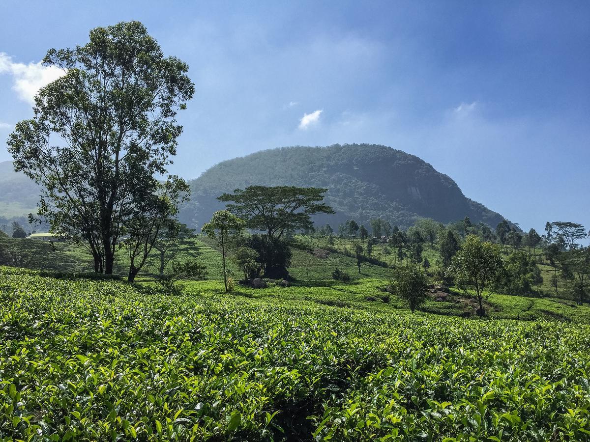The Pepper Cottage Gomagoda Luaran gambar